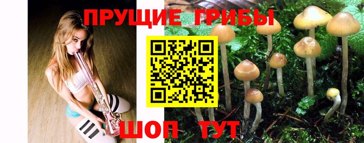 Галлюциногенные грибы Cubensis Бийск