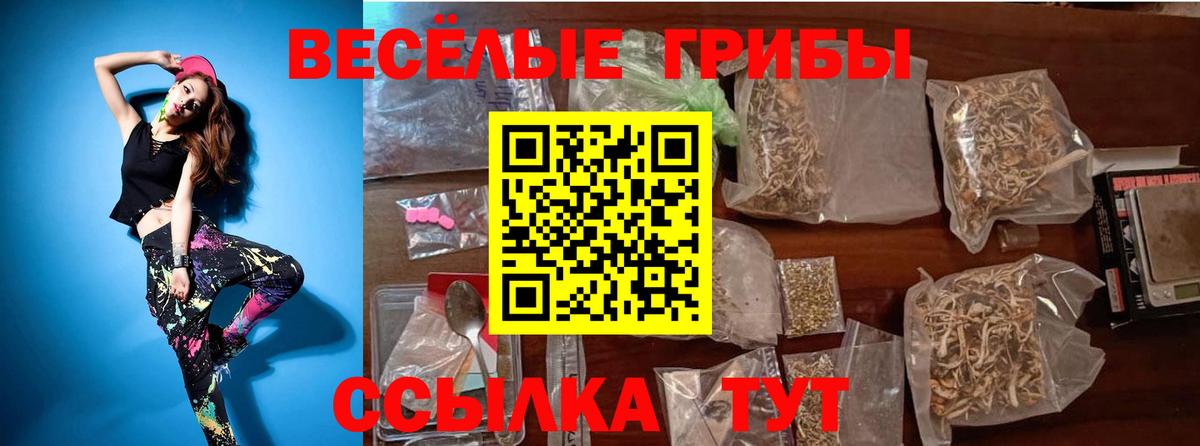 Псилоцибиновые грибы Psilocybe  Вход с VPN  Галлюциногенные грибы прущие грибы  Бийск 